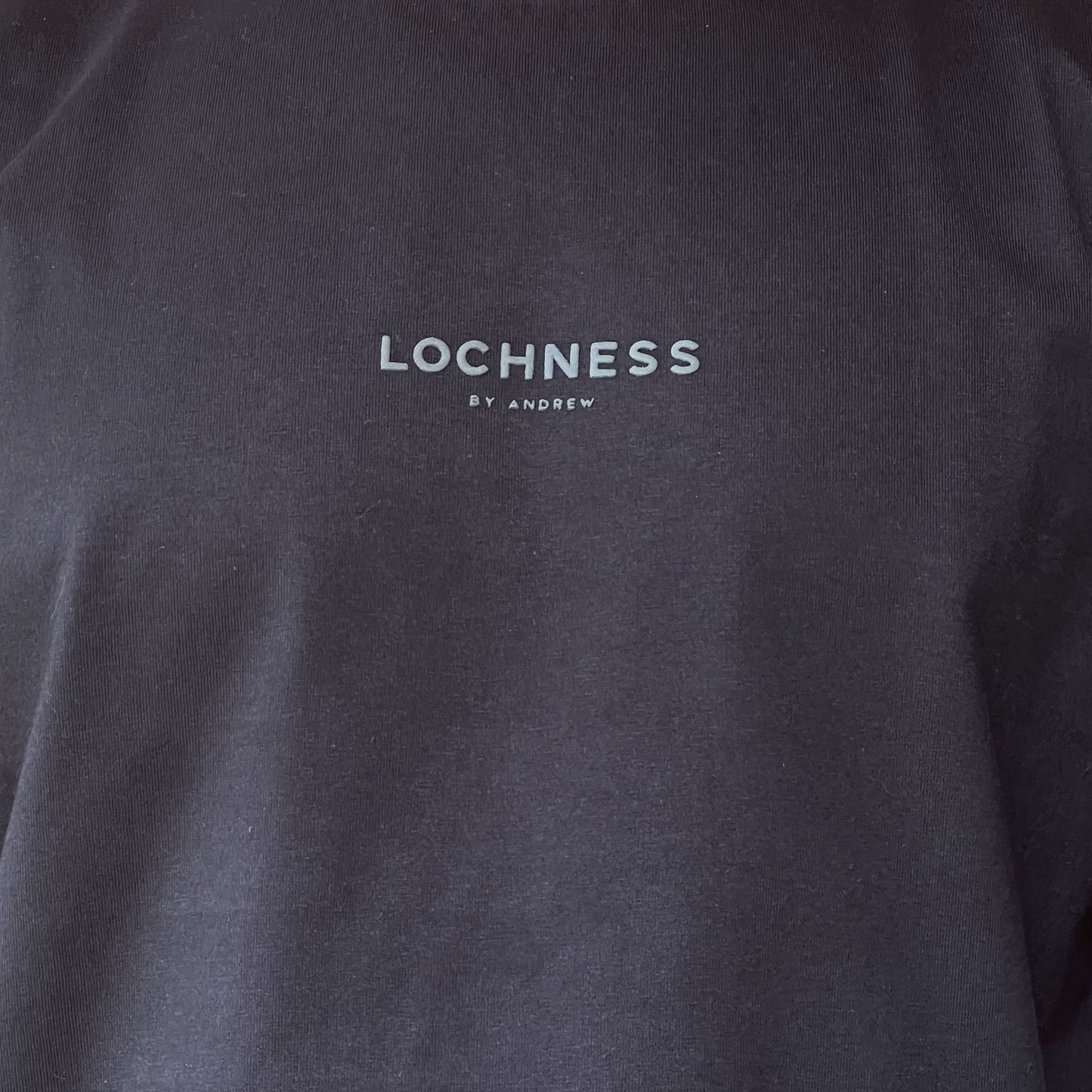Camiseta Oversized THE SIGHTING