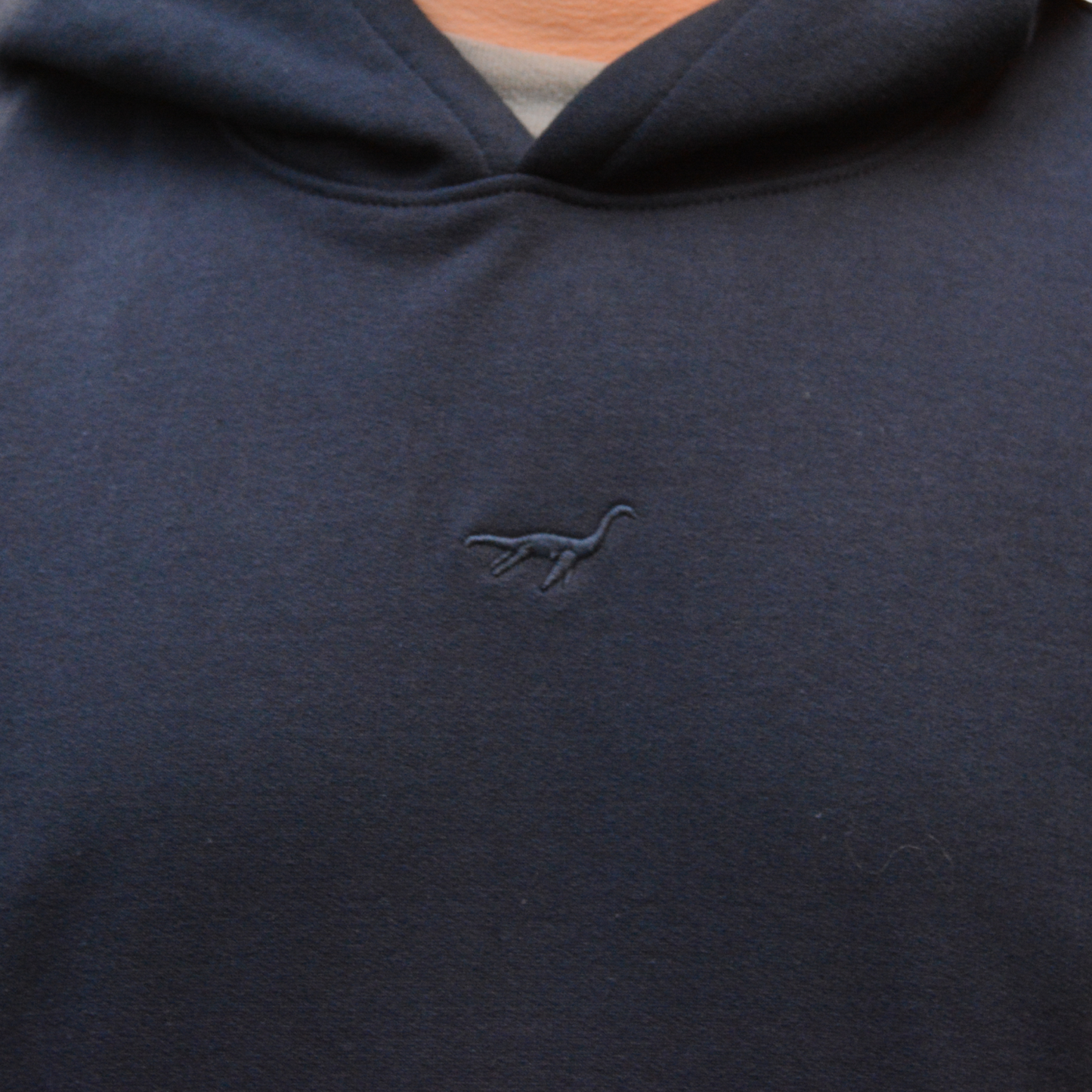 Hoodie Lochness By Andrew Clásica