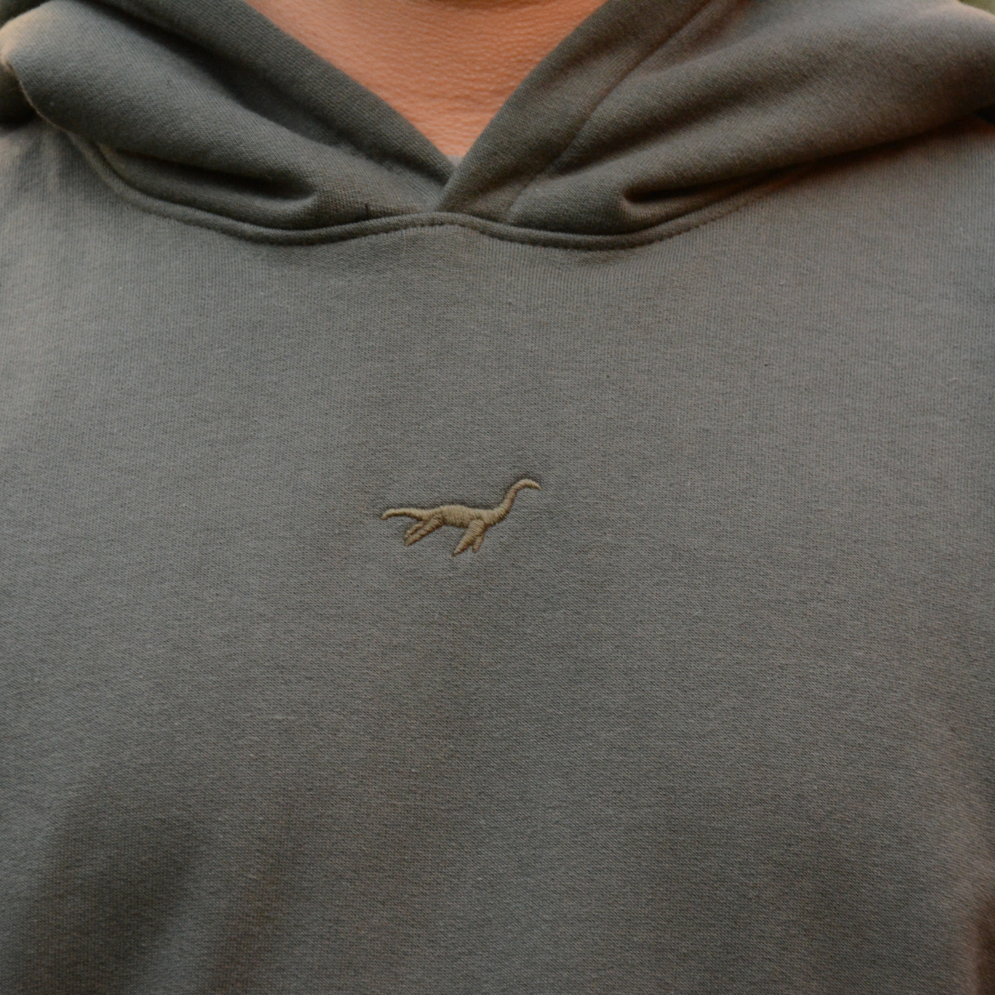 Hoodie Lochness By Andrew Clásica