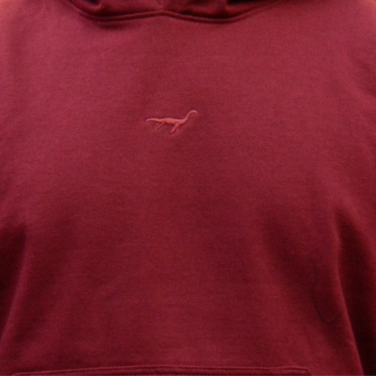 Hoodie Lochness By Andrew Clásica