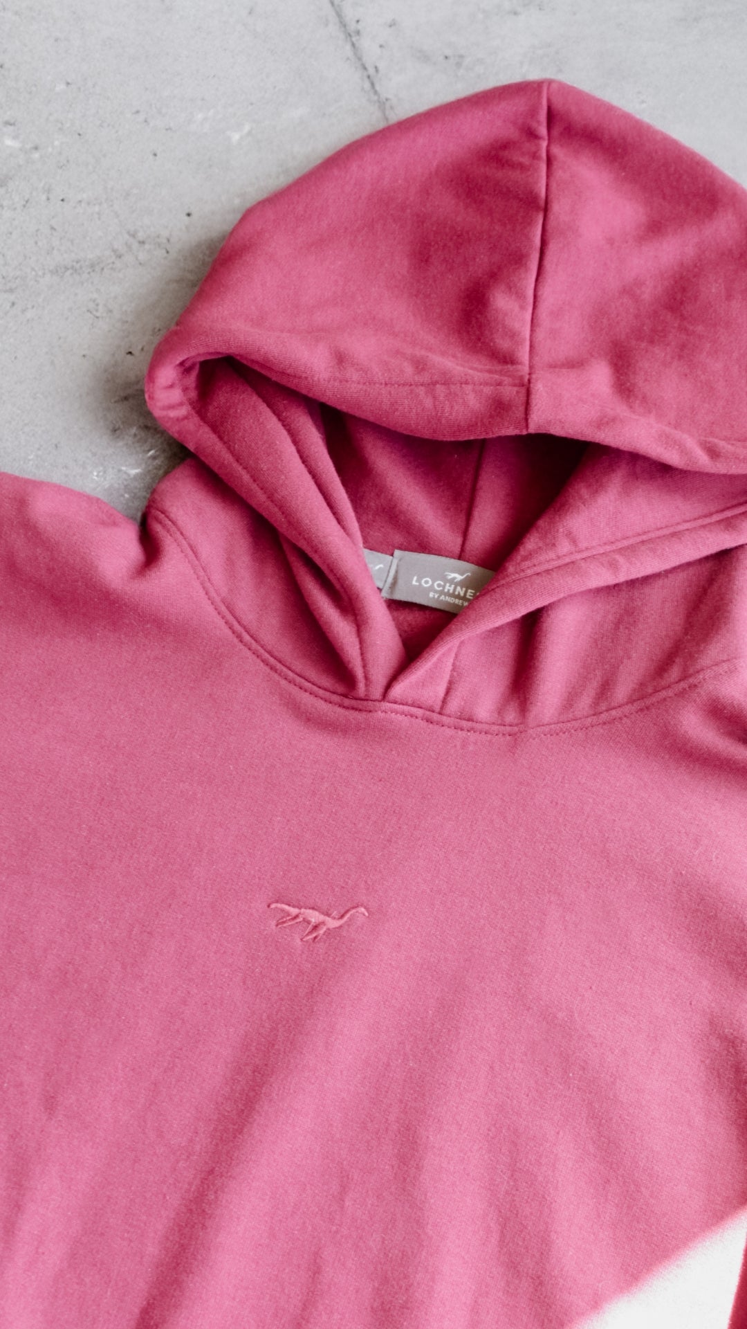 Hoodie Lochness By Andrew Clásica